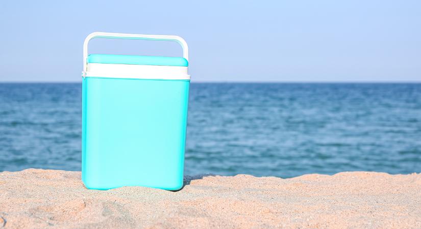 Strandolás, kirándulás, piknikezés biztonságosan