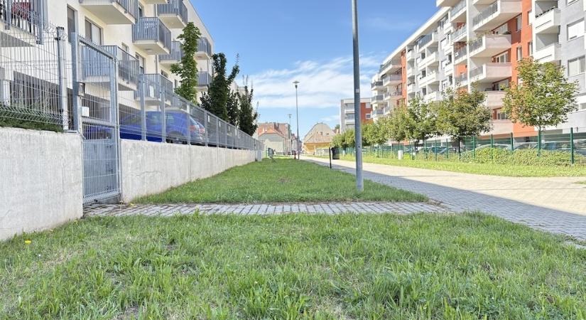 Maguktól tűntek el a kutyasétáltatást tiltó táblák a győri Kemény Ferenc sétányról