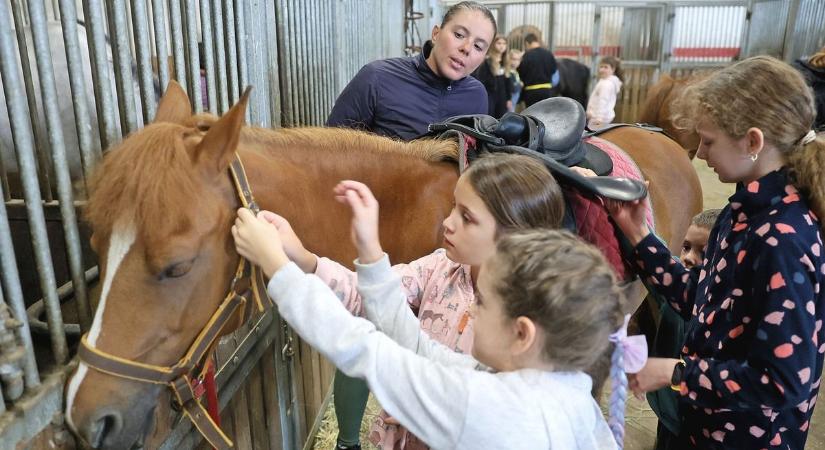 Minden gyereknek ki kellene próbálnia ezt a tábort – itt van, miért!