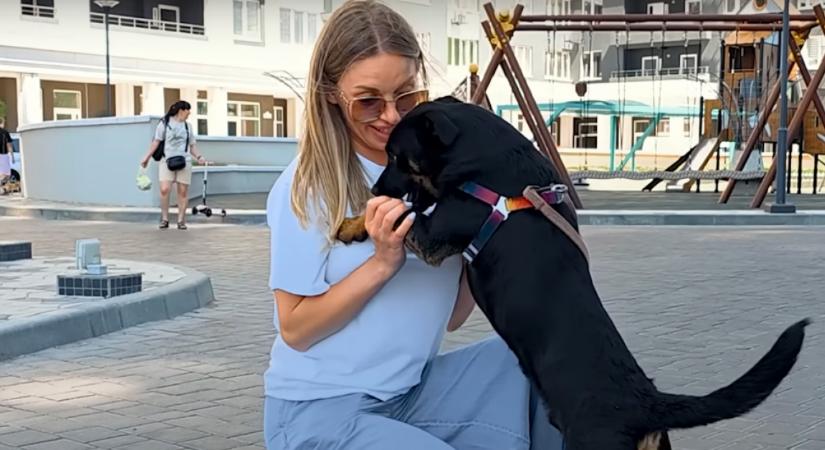 Pár mondatot mond a kidobott kutyának a nő: a reakciója szívszorító - Videó
