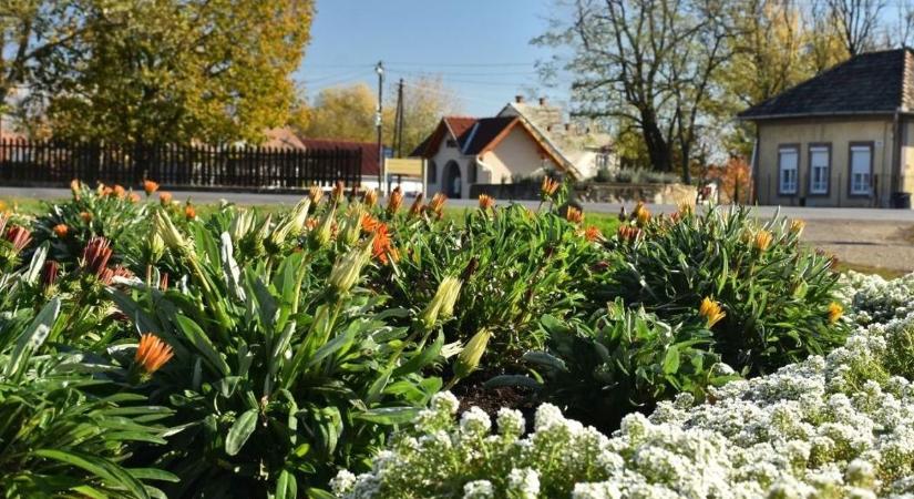 Szigorítottak a hevesi községben, van, aki nem kaphat itt lakcímet