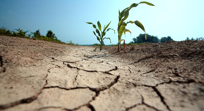 Megváltozott valami az agrárszektorban, ezt nem gondoltuk volna