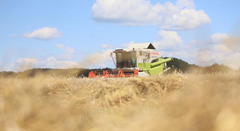 Lassan az aratás végéhez érnek a gazdák, Abapuszta határában jártunk (fotók, videók)