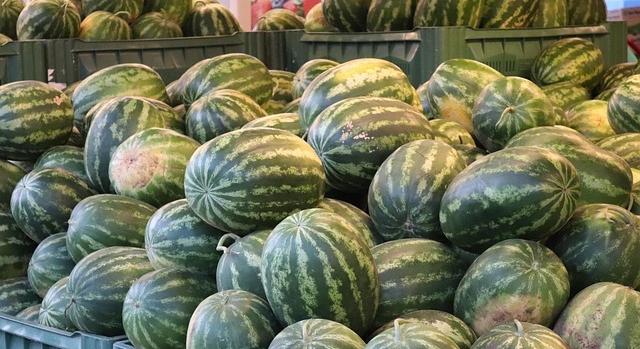 A kertészeti pályázatok segítik a magyar dinnyetermesztés fennmaradását