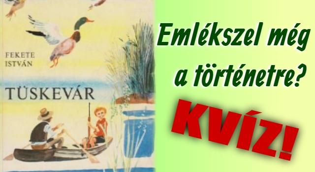 Irodalom kvíz: Emlékszel még Fekete István Tüskevár című ifjúsági regényére?