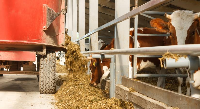Nincs elég munkás: az agrárium újabb területét hódíthatják meg a robotok