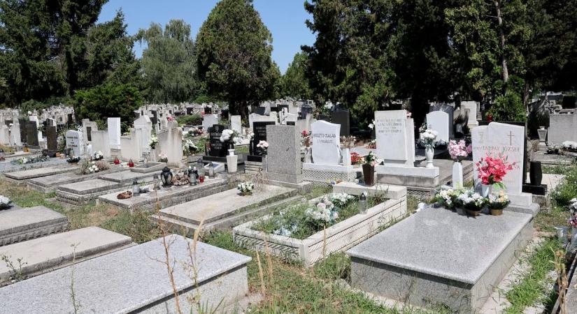 Veszélyesek a sírok a baranyai városban, a helyreállításig nem lehet temetést tartani!
