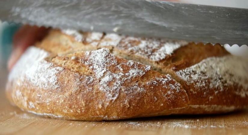 Ebben a párás melegben hamar penészedik a kenyér – már akinél! Van, ahol két hétig is bírja frissen!