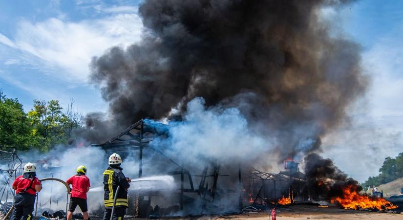 Csak fotózni ment, végül tüzet oltott és gázpalackokat vitt ki az ozorai hős (helyszíni fotók)