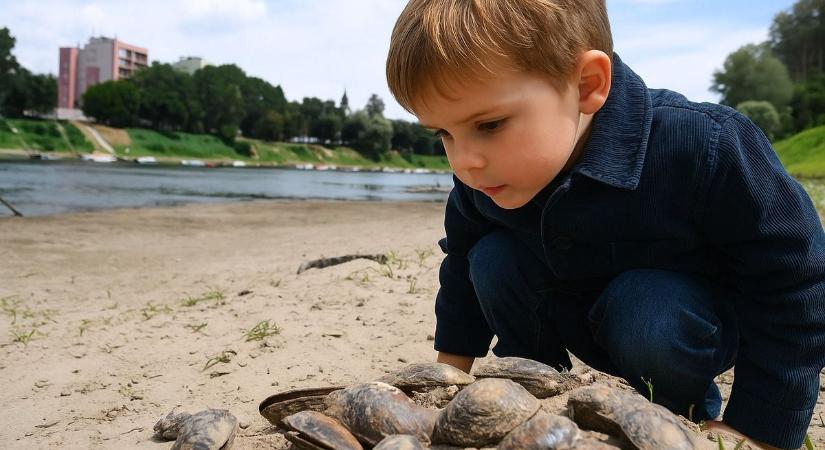 Sorra szórják a hatalmas bírságokat Horvátországban – ne kövesd el ezt a hibát a nyaraláson