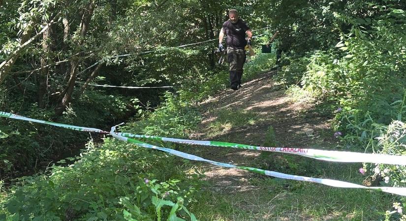 A Luník IX lakótelep melletti erdőben késeltek meg egy 20 éves férfit