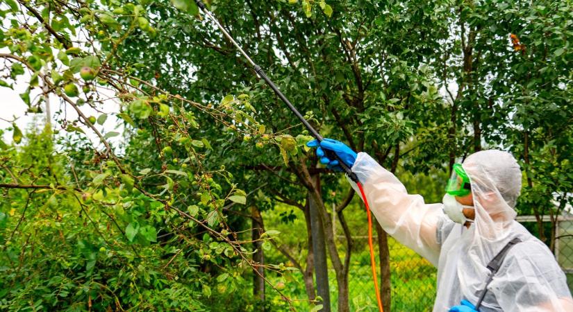 Frissültek a növényvédelmi előírások – mit jelent ez a gyakorlatban?