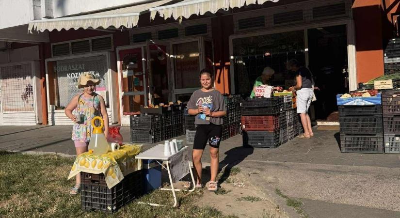 Két kislány rájött arra, hogy a limonádéval cicák, kutyák életét menthetik meg