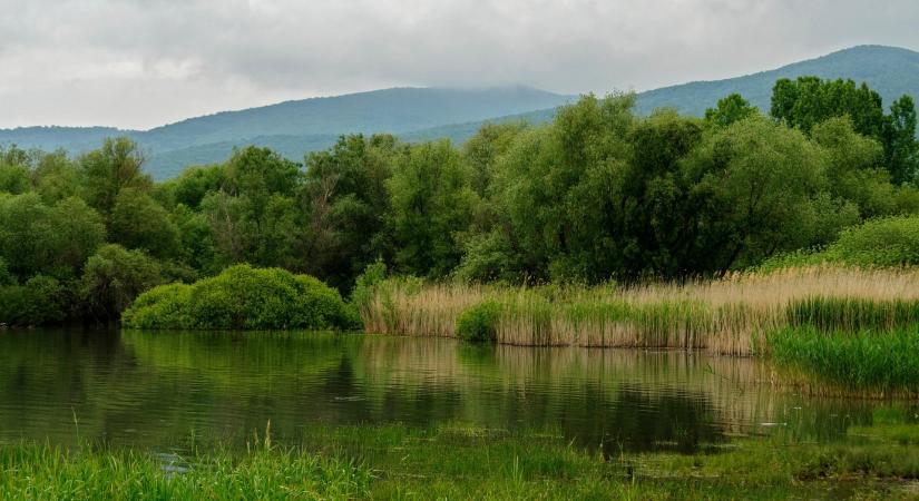 Vizet a tájba, komplex vízmegőrzésre van szükség az agráriumban