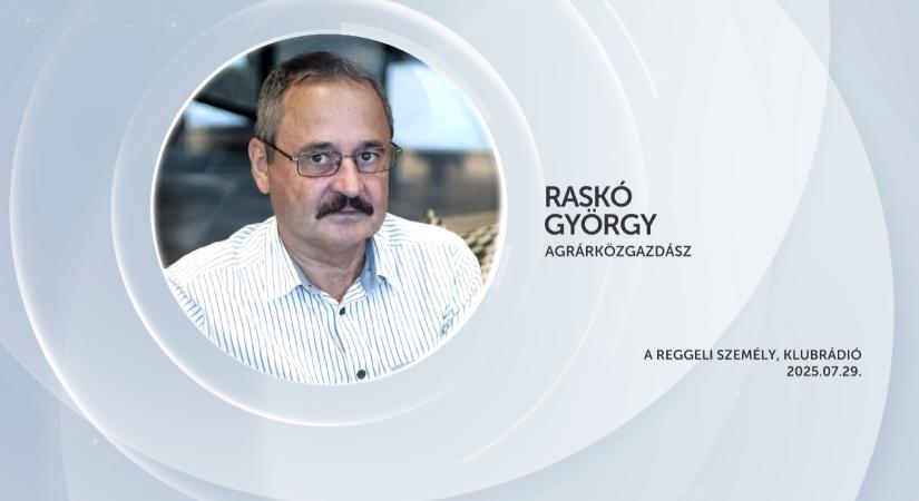 Raskó György szerint a lengyelek okosabban vették igénybe az agrártámogatásokat, mint a magyarok  videó
