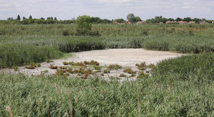 A kiszáradt tó körül már alig van élet, pedig valaha még korcsolyáztak is a befagyott tükrén