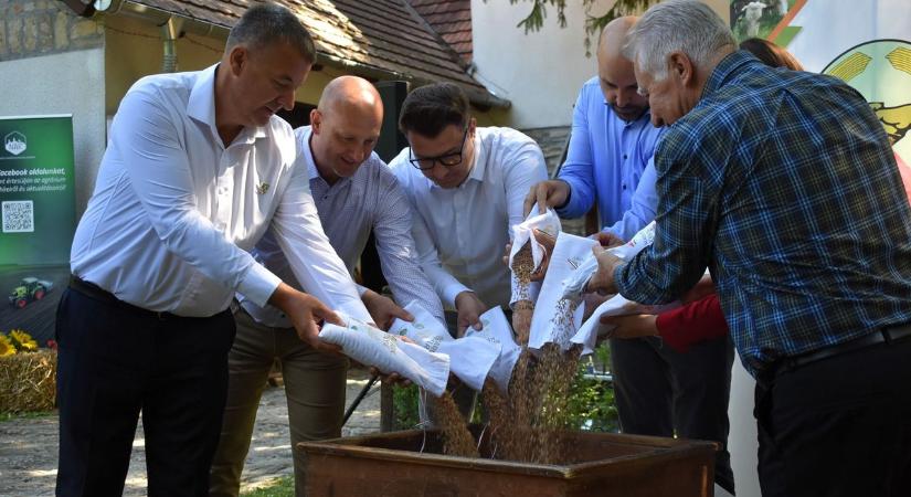 Minden egyes búzaszem számít – Elindult a 2025-ös Magyarok kenyere program (galéria  videó)