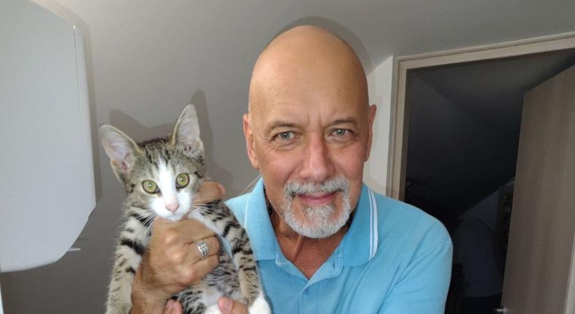 Szőke Zoltán színművész fogadta örökbe a kidobott balatoni kiscicát