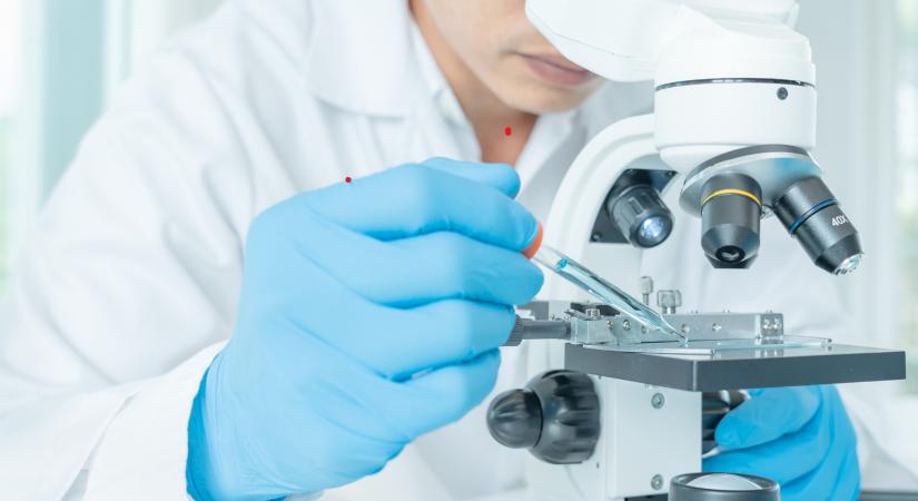 Régóta próbálták megfejteni azt a genetikai rejtélyt, amire egy nemzetközi kutatócsoportnak sikerült választ adnia