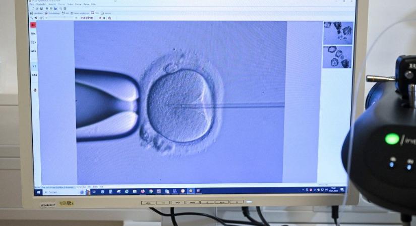 Megszületett a világ legidősebb lombikbébije Ohaióban: 31 évig volt lefagyasztva