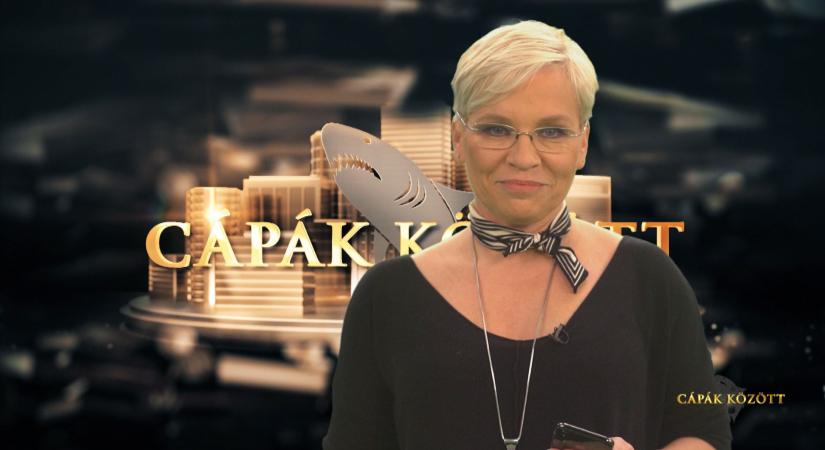 Máté Krisztina, a Cápák között producere: „Aki már túl van rajta, mind azt mondja, megérte.”