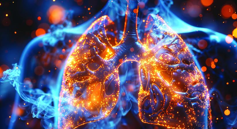 Hiperszenzitív pneumonitisz – immunválasz és tüdőbetegség