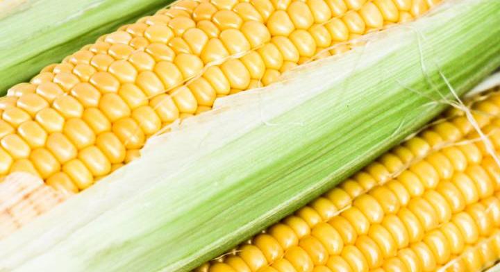 Így fagyaszd le a csöves kukoricát: 8 hónapig megőrzi édes zamatát