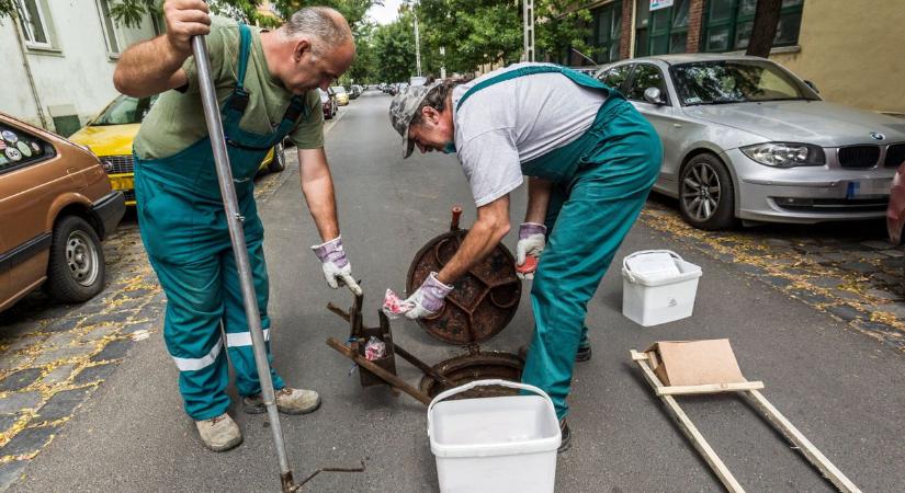 Elárasztják a patkányok Budapestet