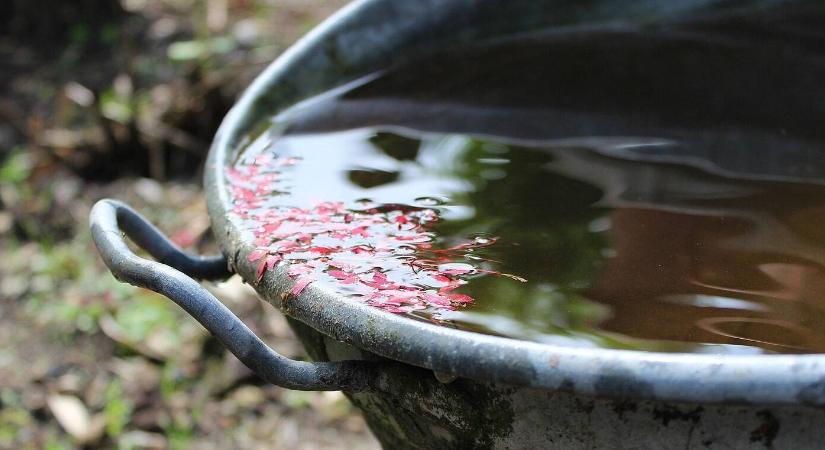Esővíz a csatornában? Komoly pénzbüntetés lehet a vége