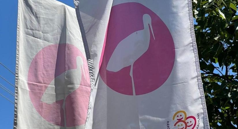 Párosával hordja a gólya a lányokat a Mátraaljára