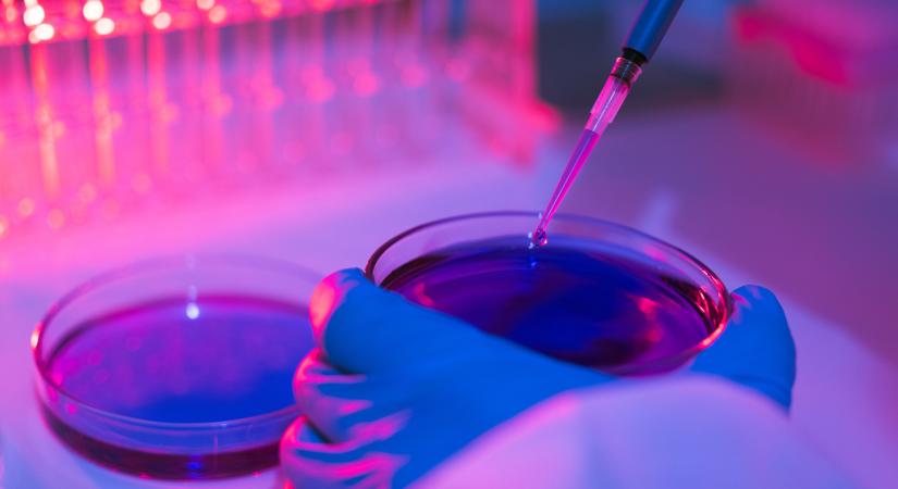 Fantasztikus áttörés: megtalálhatták az Alzheimer elleni gyógyszert