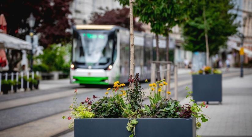 A napokban kezdődő, forgalmas útszakaszon zajló munkálatra hívja fel a figyelmet a Miskolci Városgazda