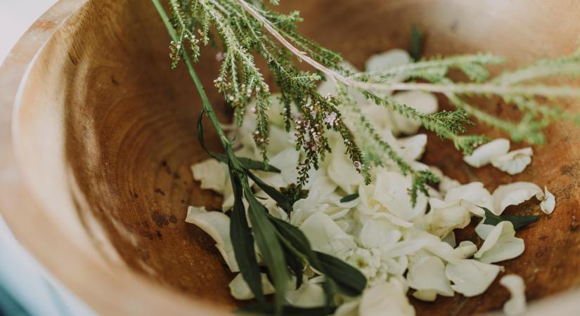 Így készíts házi arcpakolást kerti gyógynövényekből – 5 gyerekjáték recept