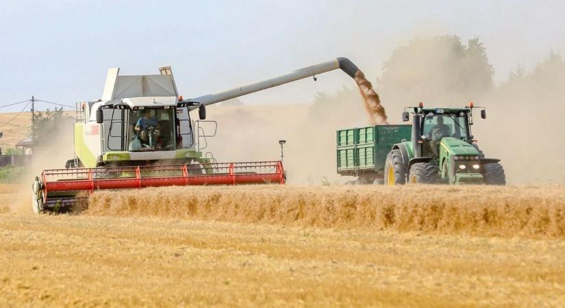 Étkezési búzából kevés, csapadékból még kevesebb – mérlegen az aratás