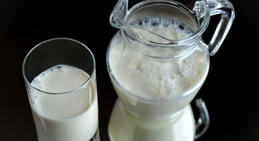 Ennél az üzletláncnál biztos tejből készülnek a tejtermékek