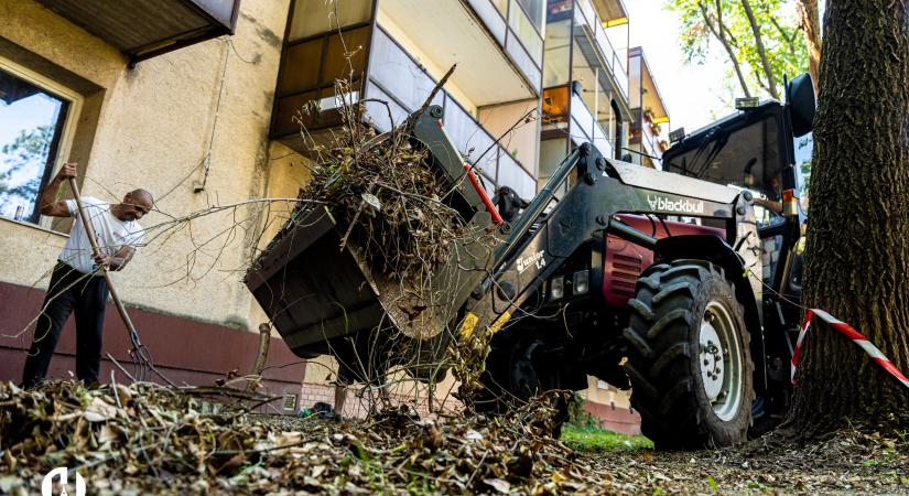 Már több mint háromezer köbméter zöldhulladékot dolgozott fel a város