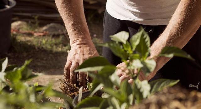 A gazdálkodóknak kedvez a nitrátrendelet módosítása
