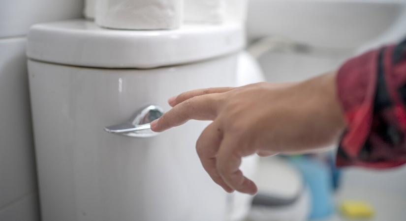 Mit árul el a széklet az egészségünkről? – íme a gasztroenterológusok tanácsai