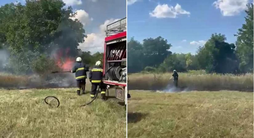 Nagy a baj: felgyulladt a törökkoppányi határ – videó