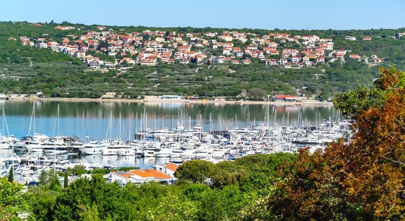 Ettől eldobod a horgászbotot!