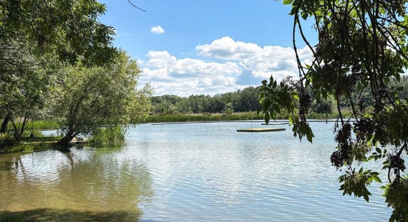 Gyerekek találtak rá a Tisza-tóban úszkáló irdatlan szeméthalmokra