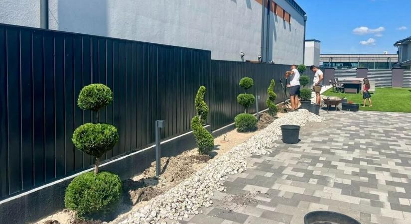 Kis Grófo nem csak a színpadon alkot maradandót