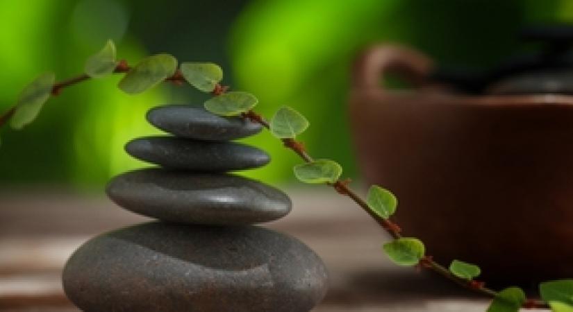Ezt a növényt rakd a hálóba a feng shui szerint, bevonzza a gazdagságot