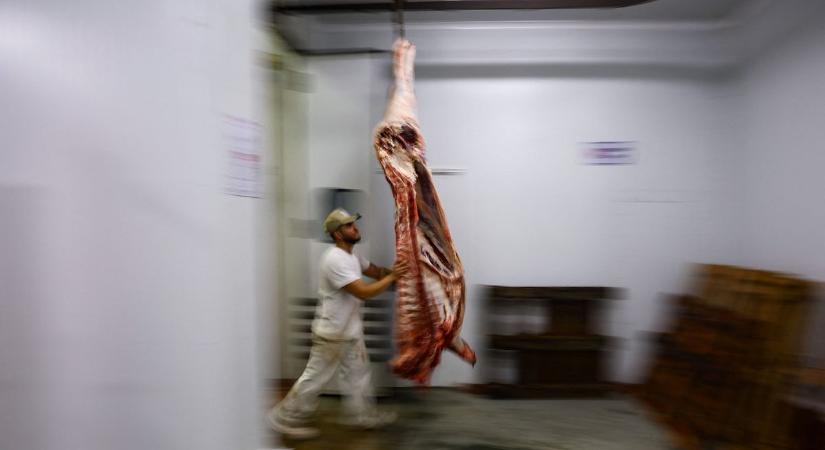 Ausztrália a vámháború egyik győztese, versenyképesebb lesz az amerikai piacon