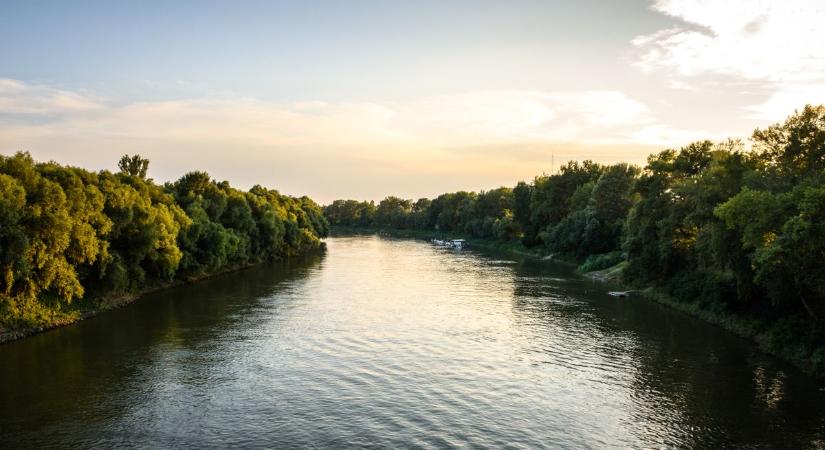 Gyerekeket mentettek a Dunán, uszályok közé szorult egy kisgéphajó