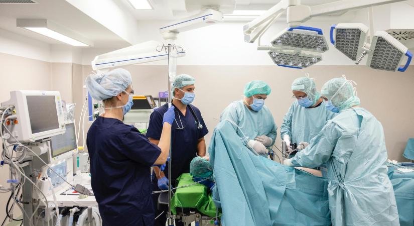 Üzleti titkokat tárt fel a Tritonlife vezérének hirtelen halála, Tiborcz köre is felbukkan a képben