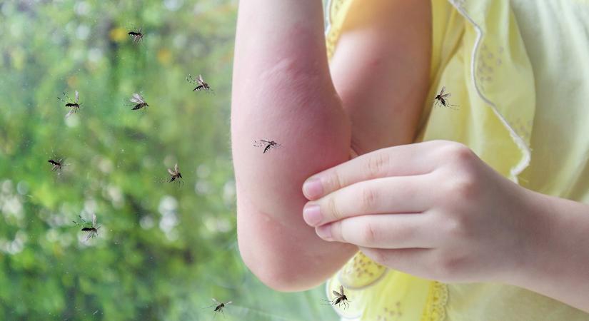 Aggódnak az olaszok, ijesztő mértékben terjed náluk egy vírus