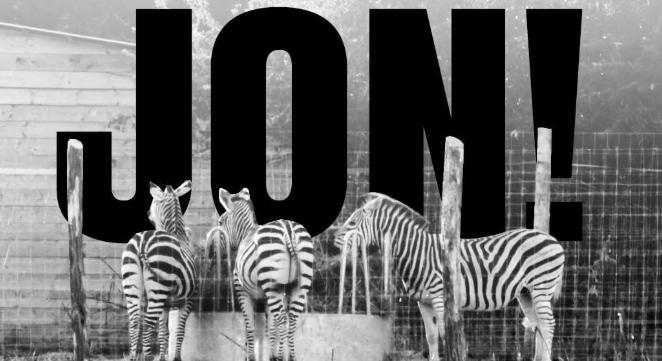 Zebra portyázik ezentúl az álhírek világában