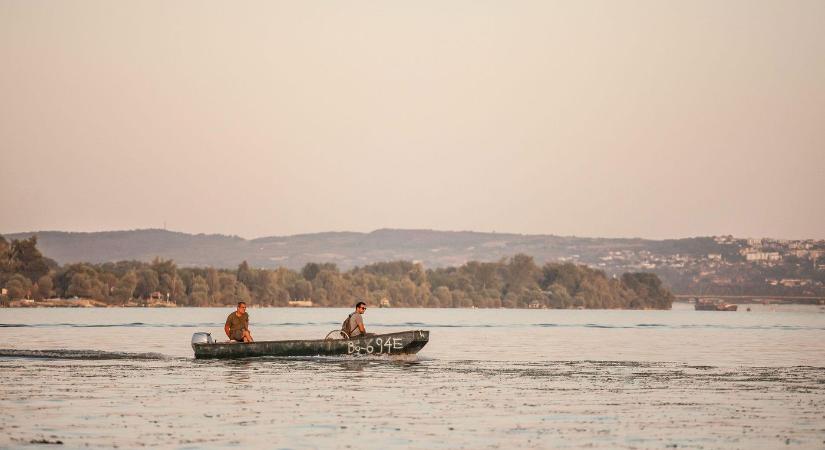 7 méteres halszörnyet fogtak a Dunában? Brutális fotó terjed, az állat valódi, ám van egy nagy bökkenő