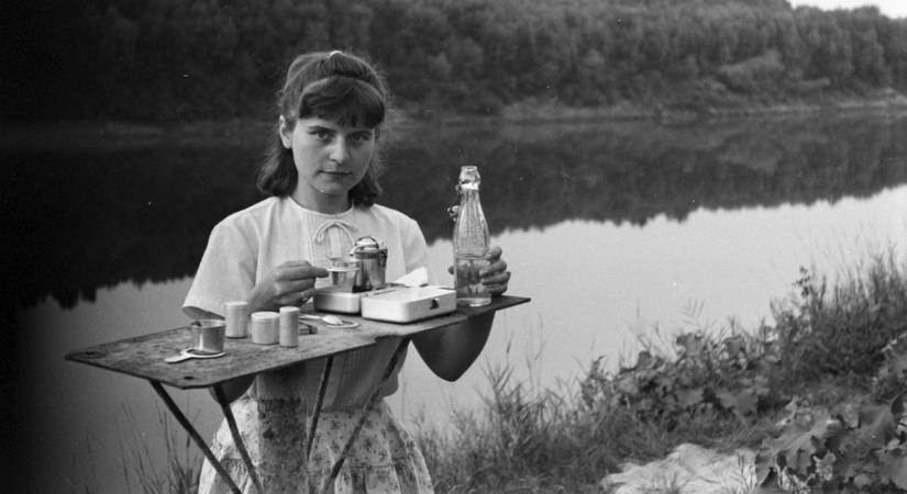 Bambi üdítő: friss íz, zavaros múlt